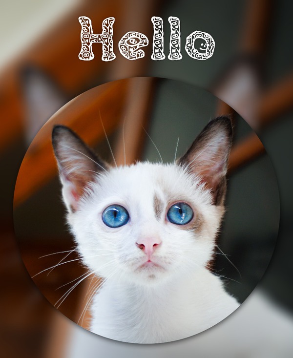 Photo Montage Blurred Background Pixiz