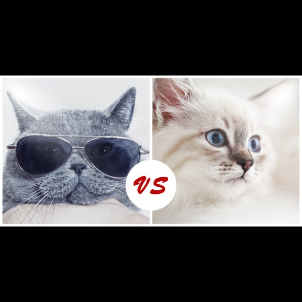 vs for playstation vs for playstation