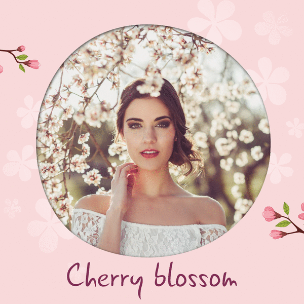 Animated cherry blossom Photo frame effect | Pixiz