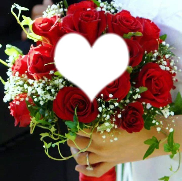 rose Photo frame effect Pixiz