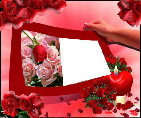 rose rose Montage photo Pixiz