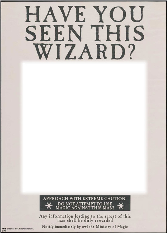 Have you seen this wizard? Fotomontagem Pixiz