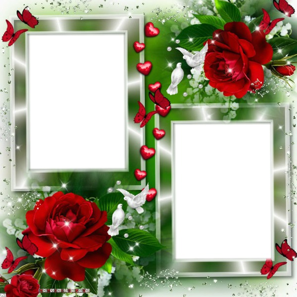 Rose Photo Frame Png Pixiz Free Frame Png My XXX Hot Girl