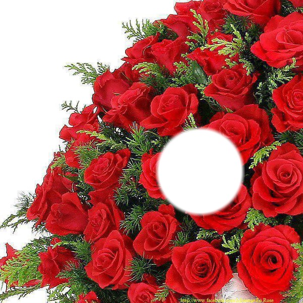 rose Montage photo Pixiz