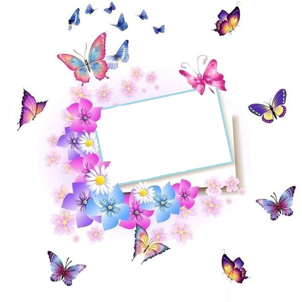marco entre flores y mariposas. Photo frame effect | Pixiz