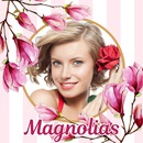 Magnolia's