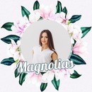 Magnolijas