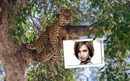 Cadre avec leopard