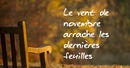 Automne Chaise
