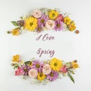 Spring text