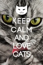Keep calm Kedi
