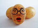 Bulvių galvutė bulvė