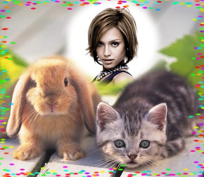 Rabbit and kitten Photo frame effect