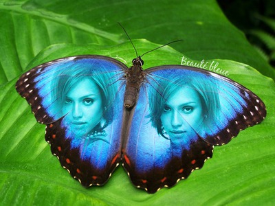 Įdėklas į drugelius su mėlynais sparnais su tekstu Fotomontažas