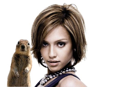 Sjovt Groundhog Squirrel Fotomontage