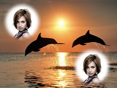 Dolfijnen Fotomontage