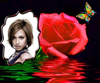 Ruža a motýľ Fotomontáž