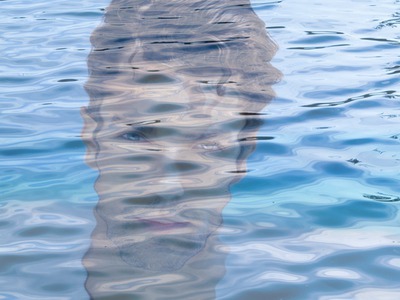 Foto di air atau laut Photomontage