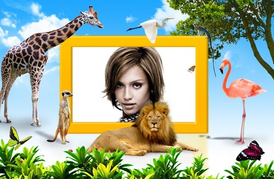 Kebun binatang Photomontage