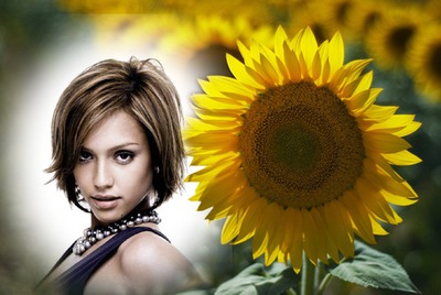 Bunga kuning Photomontage