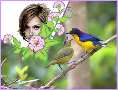 Fugle og blomster Fotomontage