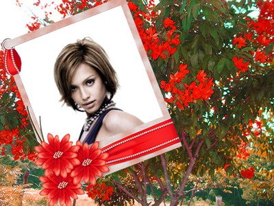 Polaroidbukett med röda blommor