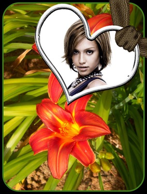 Hati ♥ Bunga Lily Photomontage