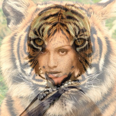 Fusion med en tiger Fotomontage