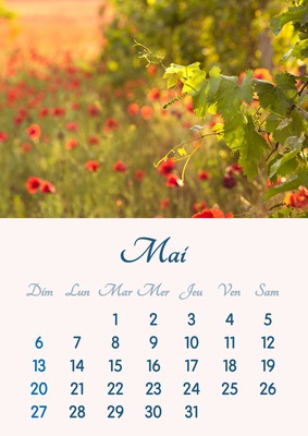 Календар за мај 2018. за штампање у А4 формату Фотомонтажа