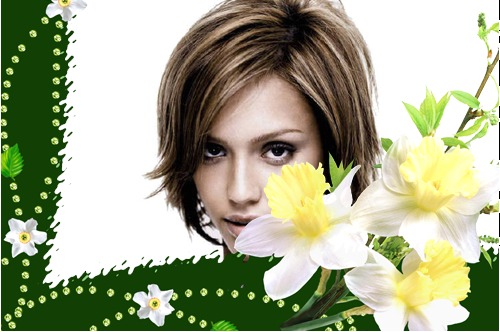 Narcizo gėlės Fotomontažas