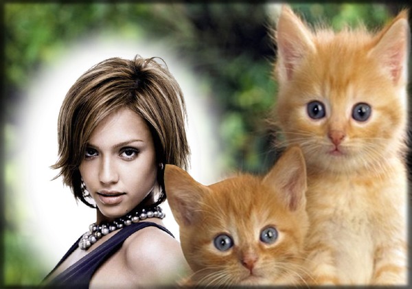 Anak kucing Photomontage