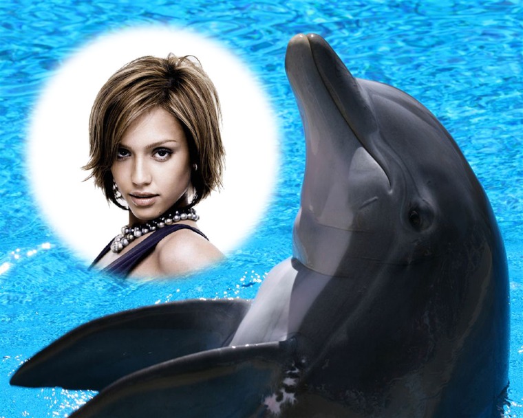 Dolfijn Fotomontage