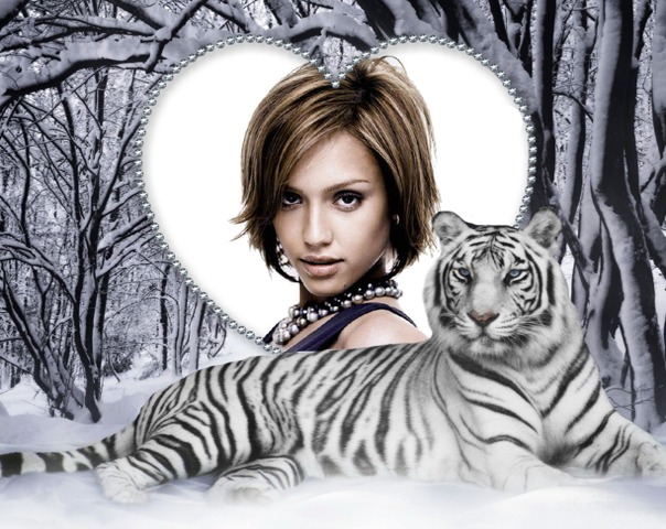 Сердце Тигр Зима ♥ Фотомонтаж