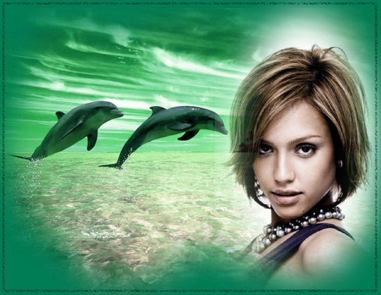 Delfíny Fotomontáž