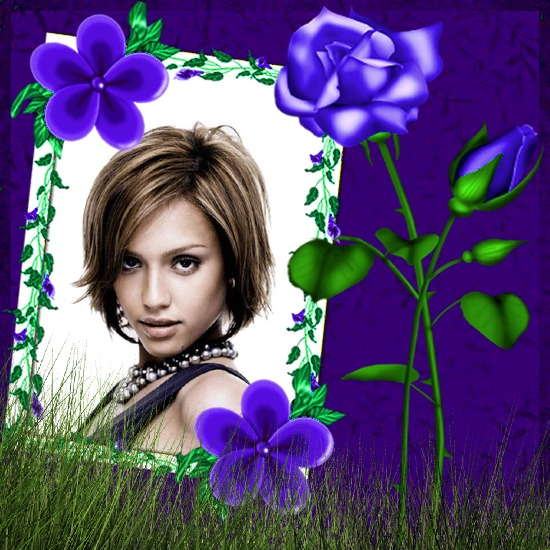 Blue Rose Violet Photomontage