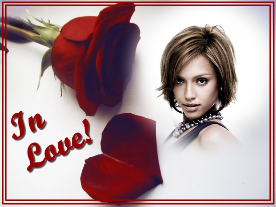 Rose rouge In love Montage photo