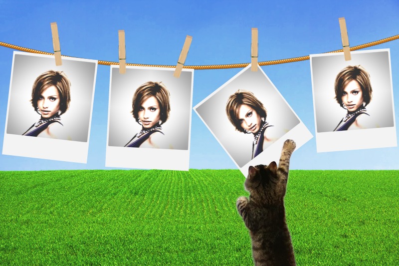 4 Polaroid gantung kucing Photomontage