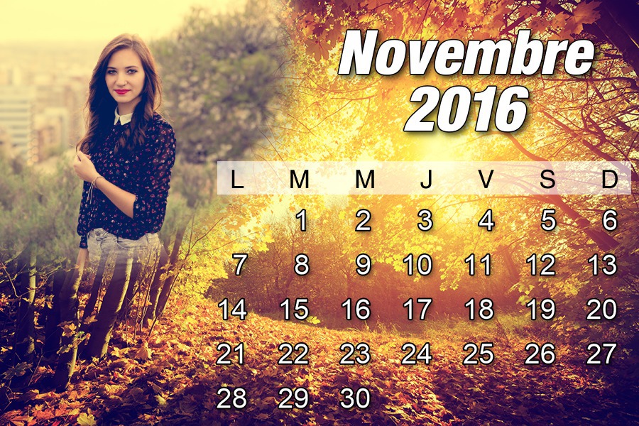 2016 m. lapkričio mėn. kalendorius Fotomontažas