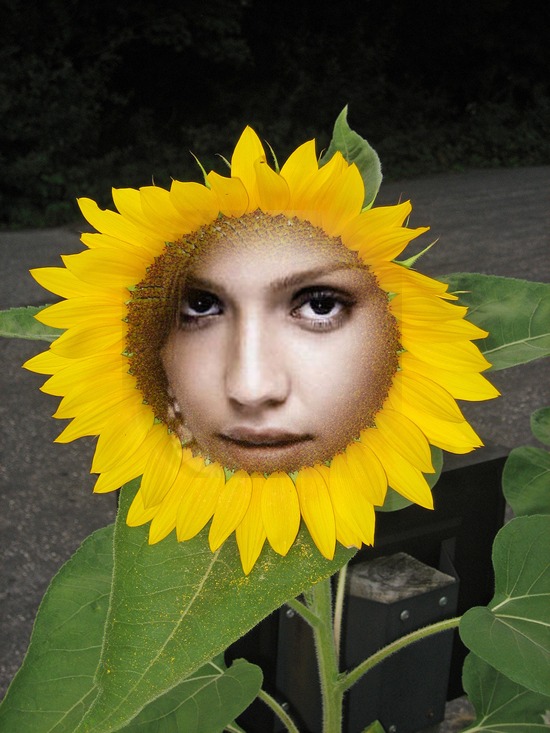 Saulespuķe Fotomontāža