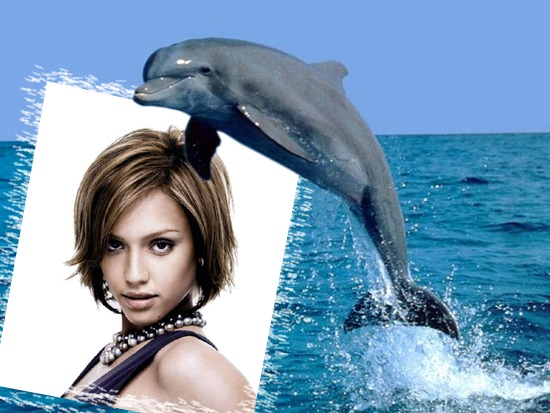 Delfín Montaje fotografico