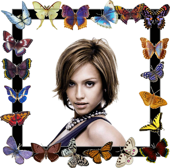 Schmetterlinge Fotomontage