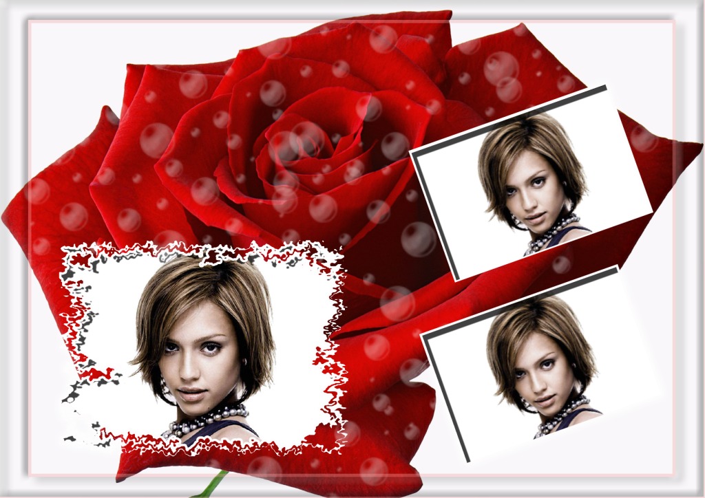 Rød rose Fotomontasje