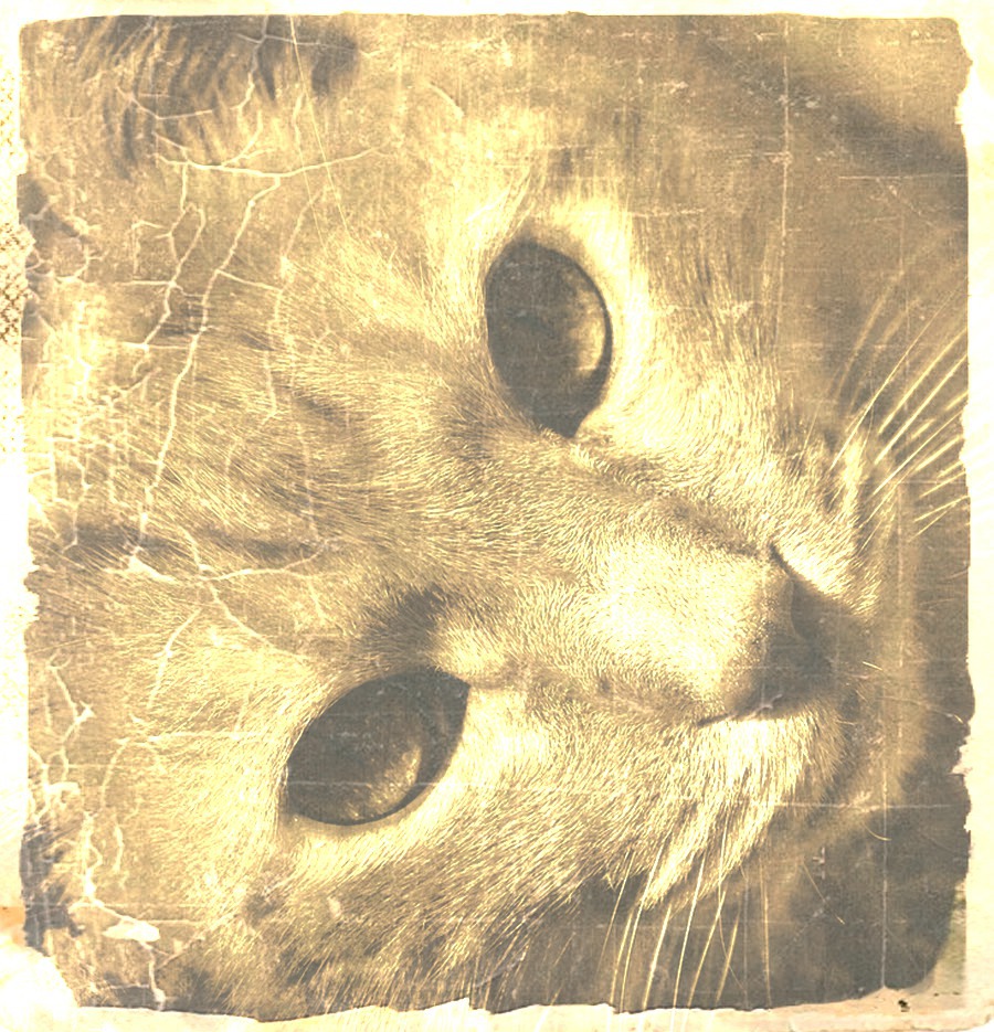 Scratched picture Photo frame effect