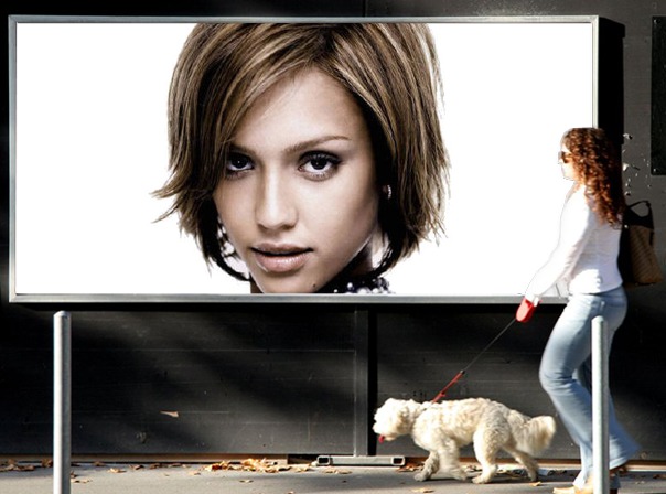 Tabellone per le affissioni donna cane Fotomontaggio