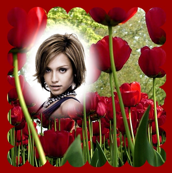 Červené tulipány Fotomontáž