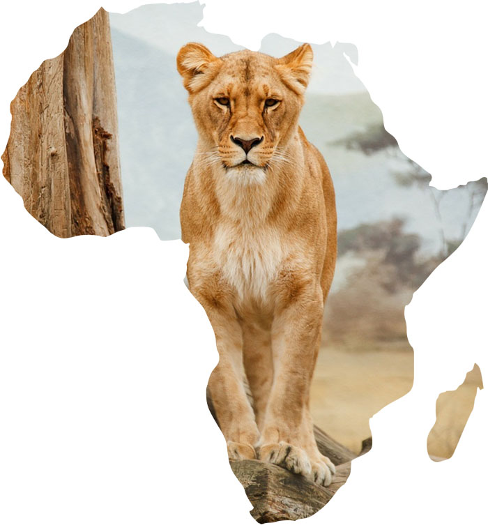 Afrika Transparentný PNG Fotomontáž