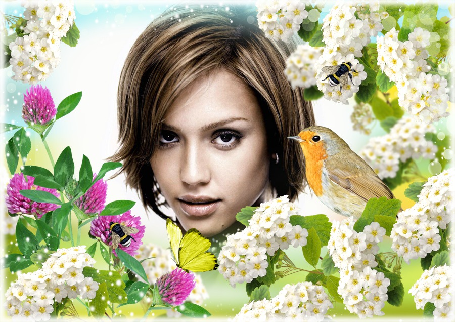 Vogel Blumen Natur Fotomontage