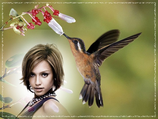 Kolibrík lietajúci vták Fotomontáž