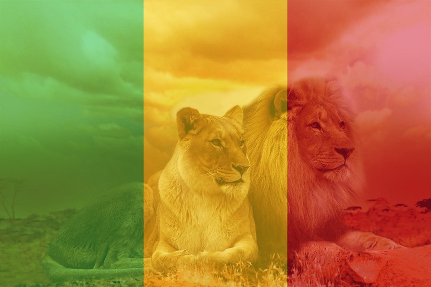 Mali flag Fotomontage