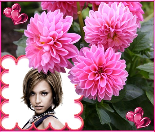 Bunga-bunga merah muda Photomontage
